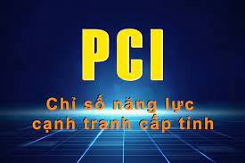 Quảng Ngãi: Tập trung cải thiện mạnh mẽ các chỉ số thành phần PCI
