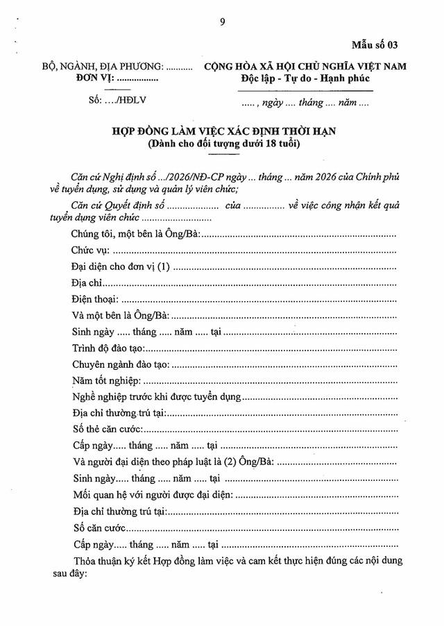 Quy định về hợp đồng làm việc và mẫu HỢP ĐỒNG LÀM VIỆC đối với VIÊN CHỨC- Ảnh 5.
